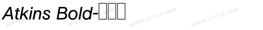 Atkins Bold字体转换